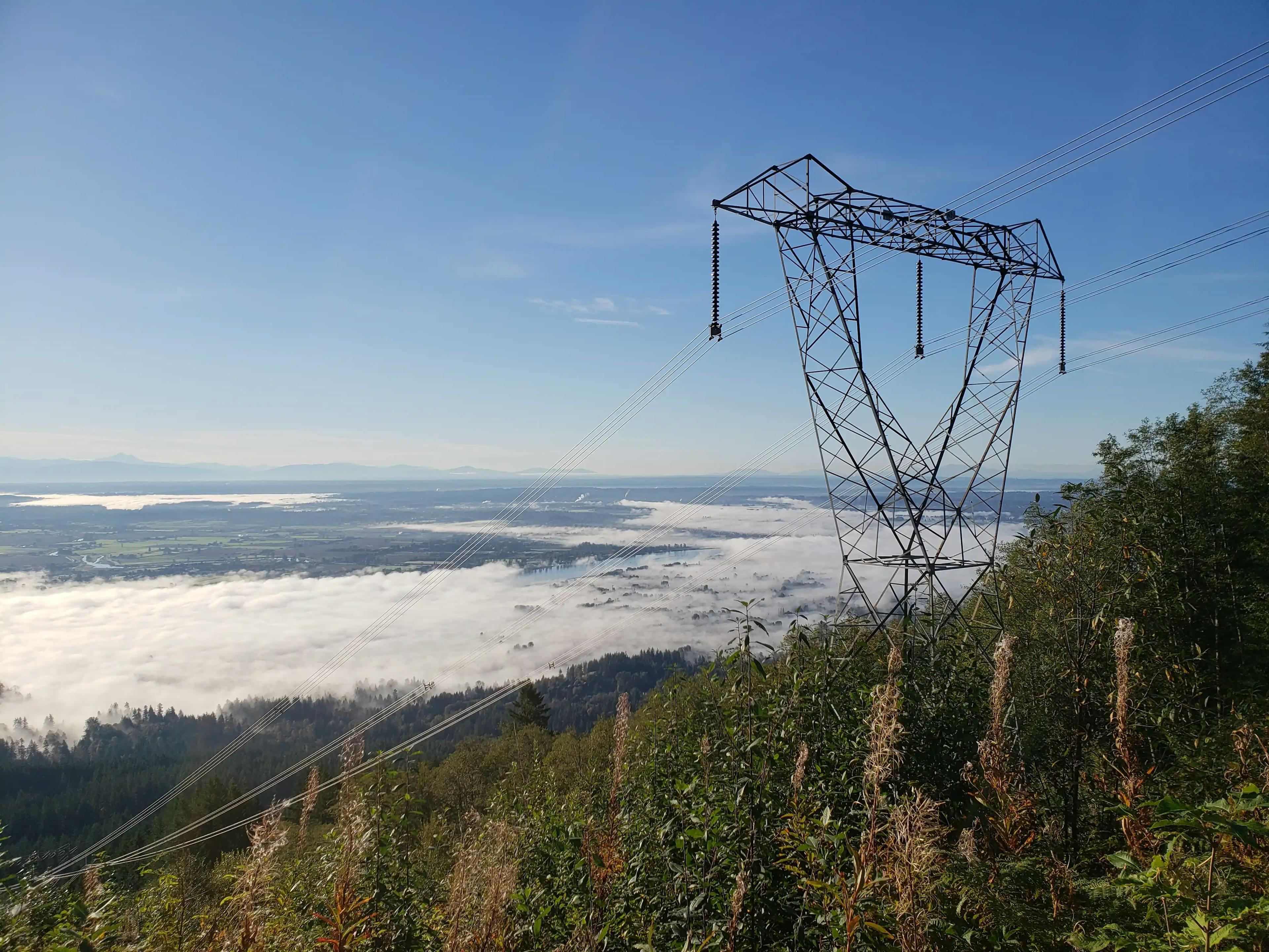 transmission tower in forest